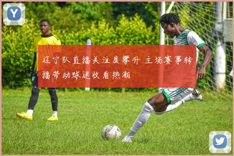 辽宁队直播关注度攀升 主场赛事转播带动球迷收看热潮