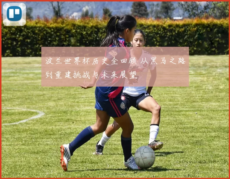 波兰世界杯历史全回顾 从黑马之路到重建挑战与未来展望