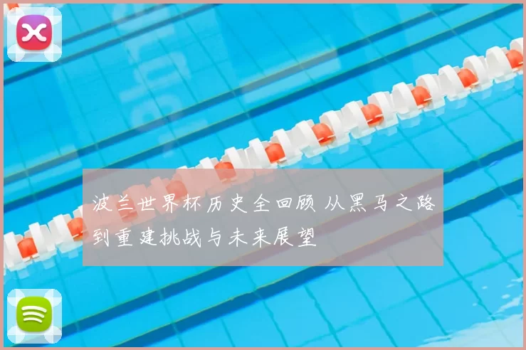 波兰世界杯历史全回顾 从黑马之路到重建挑战与未来展望