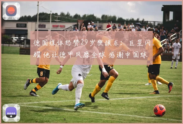 德国媒体怒赞29岁樊振东：巨星闪耀 他让德甲风靡全球 感谢中国球迷_萨尔布吕肯_联赛_决赛