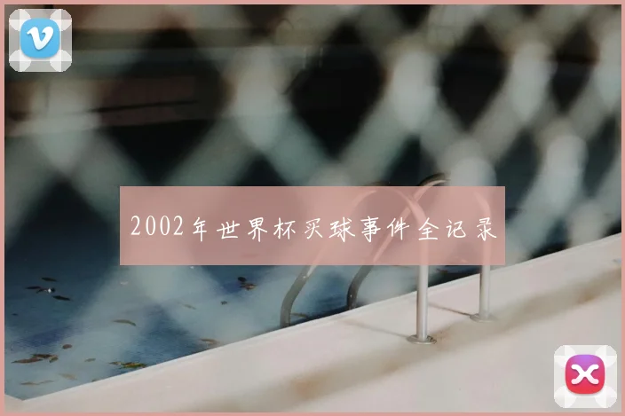 2002年世界杯买球事件全记录