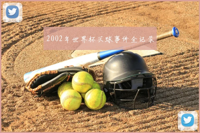 2002年世界杯买球事件全记录